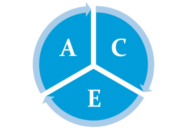 ACE Model